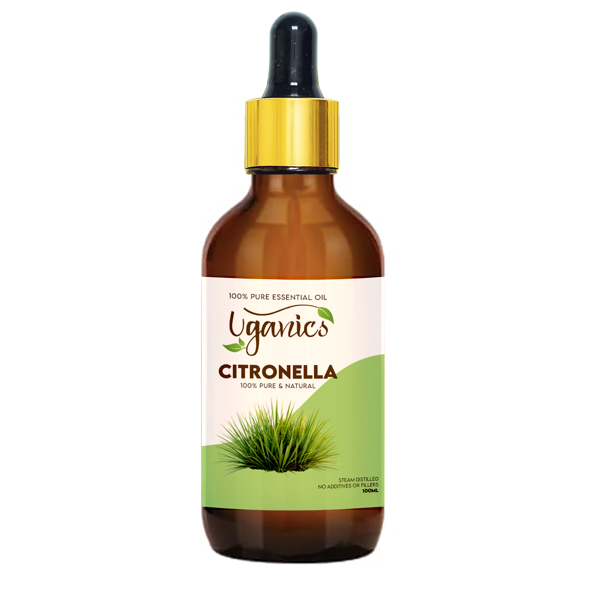 Citronella (1)